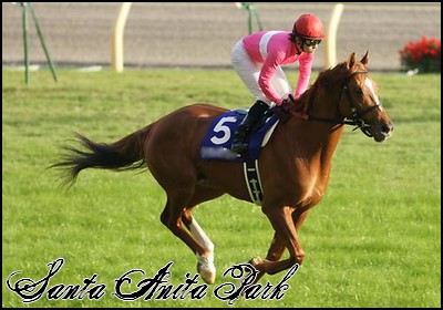 //santa-anita.gportal.hu/portal/santa-anita/image/gallery/1258133802_89.jpg