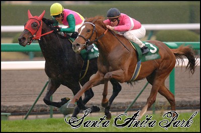 //santa-anita.gportal.hu/portal/santa-anita/image/gallery/1258133813_18.jpg