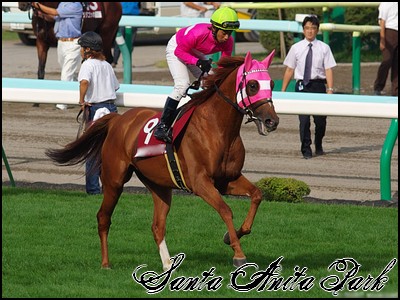 //santa-anita.gportal.hu/portal/santa-anita/image/gallery/1258133816_92.jpg