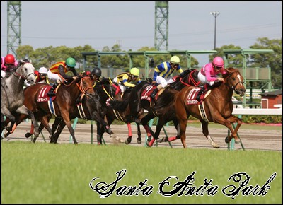 //santa-anita.gportal.hu/portal/santa-anita/image/gallery/1258133834_56.jpg