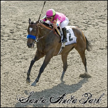 //santa-anita.gportal.hu/portal/santa-anita/image/gallery/1260898029_63.jpg