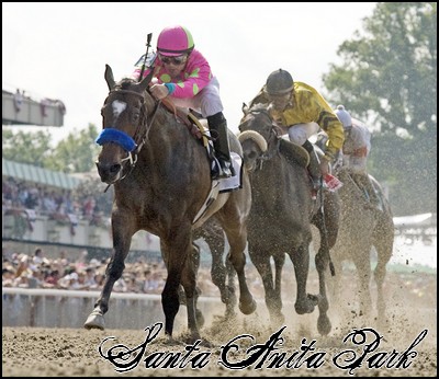 //santa-anita.gportal.hu/portal/santa-anita/image/gallery/1260898057_10.jpg