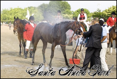 //santa-anita.gportal.hu/portal/santa-anita/image/gallery/1260898078_22.jpg