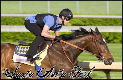 //santa-anita.gportal.hu/portal/santa-anita/image/gallery/1260898111_20.jpg