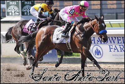 //santa-anita.gportal.hu/portal/santa-anita/image/gallery/1260898135_17.jpg