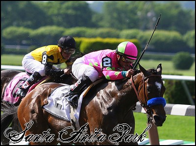 //santa-anita.gportal.hu/portal/santa-anita/image/gallery/1260898140_94.jpg