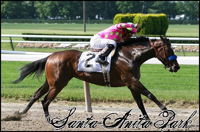 //santa-anita.gportal.hu/portal/santa-anita/image/gallery/1260898145_50.jpg