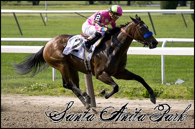 //santa-anita.gportal.hu/portal/santa-anita/image/gallery/1260898149_07.jpg