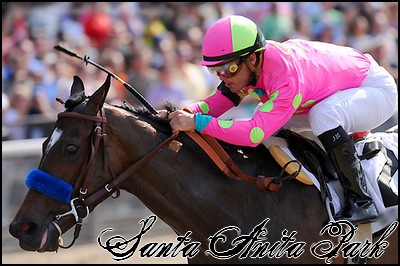 //santa-anita.gportal.hu/portal/santa-anita/image/gallery/1260898167_51.jpg