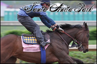 //santa-anita.gportal.hu/portal/santa-anita/image/gallery/1260898177_10.jpg