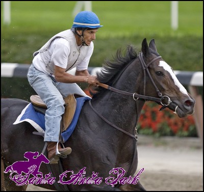 //santa-anita.gportal.hu/portal/santa-anita/image/gallery/1262466268_11.jpg