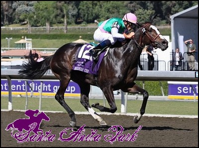 //santa-anita.gportal.hu/portal/santa-anita/image/gallery/1262466335_64.jpg