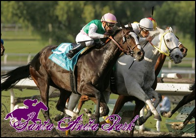 //santa-anita.gportal.hu/portal/santa-anita/image/gallery/1262466412_84.jpg