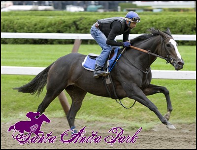 //santa-anita.gportal.hu/portal/santa-anita/image/gallery/1262466425_12.jpg