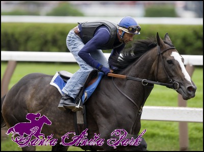 //santa-anita.gportal.hu/portal/santa-anita/image/gallery/1262466439_57.jpg