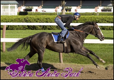 //santa-anita.gportal.hu/portal/santa-anita/image/gallery/1262466451_02.jpg