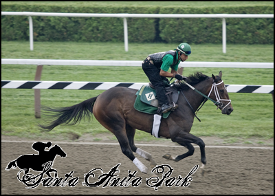 //santa-anita.gportal.hu/portal/santa-anita/image/gallery/1262531593_35.png