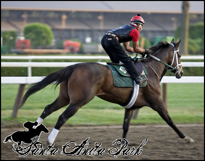 //santa-anita.gportal.hu/portal/santa-anita/image/gallery/1262531658_10.png