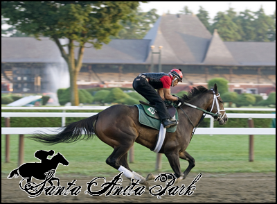 //santa-anita.gportal.hu/portal/santa-anita/image/gallery/1262531727_55.png