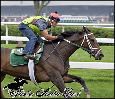 //santa-anita.gportal.hu/portal/santa-anita/image/gallery/1262531823_47.png