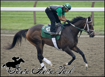 //santa-anita.gportal.hu/portal/santa-anita/image/gallery/1262531832_64.png