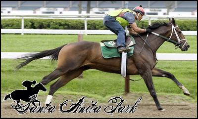 //santa-anita.gportal.hu/portal/santa-anita/image/gallery/1262531892_53.png