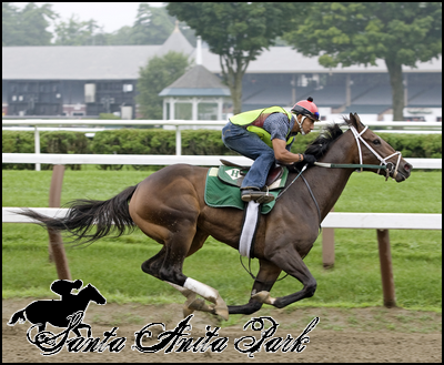 //santa-anita.gportal.hu/portal/santa-anita/image/gallery/1262531965_44.png