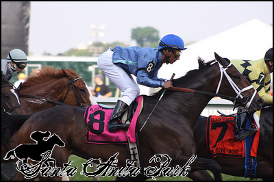 //santa-anita.gportal.hu/portal/santa-anita/image/gallery/1262532004_17.png