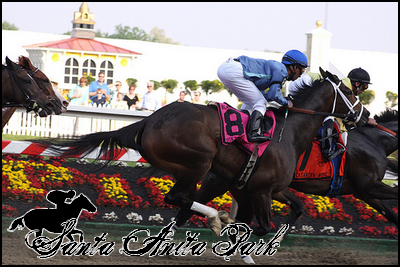 //santa-anita.gportal.hu/portal/santa-anita/image/gallery/1262532026_11.png