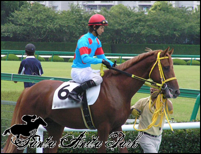 //santa-anita.gportal.hu/portal/santa-anita/image/gallery/1262532687_63.png