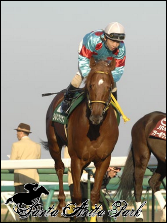 //santa-anita.gportal.hu/portal/santa-anita/image/gallery/1262532708_78.png