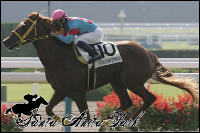 //santa-anita.gportal.hu/portal/santa-anita/image/gallery/1262532771_32.png