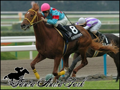 //santa-anita.gportal.hu/portal/santa-anita/image/gallery/1262532796_21.png