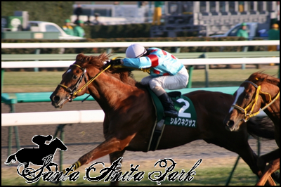 //santa-anita.gportal.hu/portal/santa-anita/image/gallery/1262532845_21.png