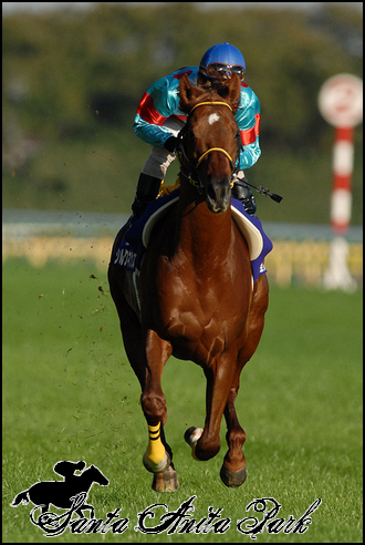 //santa-anita.gportal.hu/portal/santa-anita/image/gallery/1262532888_60.png