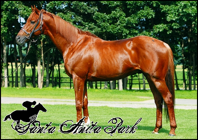 //santa-anita.gportal.hu/portal/santa-anita/image/gallery/1262532921_73.png