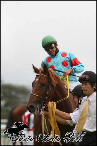 //santa-anita.gportal.hu/portal/santa-anita/image/gallery/1262532949_31.png