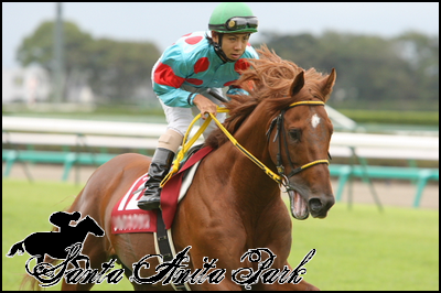 //santa-anita.gportal.hu/portal/santa-anita/image/gallery/1262532954_02.png