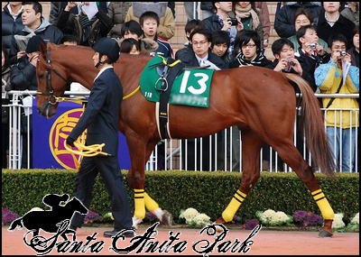 //santa-anita.gportal.hu/portal/santa-anita/image/gallery/1262533004_10.png