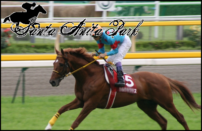 //santa-anita.gportal.hu/portal/santa-anita/image/gallery/1262533042_99.png