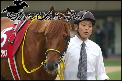 //santa-anita.gportal.hu/portal/santa-anita/image/gallery/1262533046_94.png