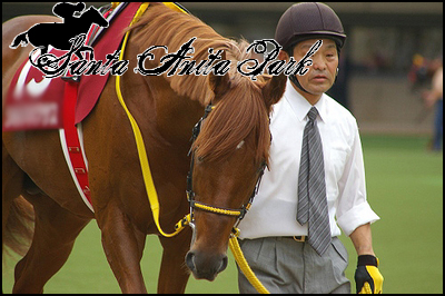 //santa-anita.gportal.hu/portal/santa-anita/image/gallery/1262533085_89.png
