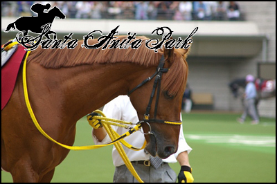 //santa-anita.gportal.hu/portal/santa-anita/image/gallery/1262533116_71.png