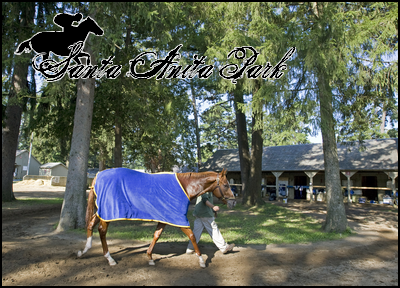 //santa-anita.gportal.hu/portal/santa-anita/image/gallery/1263732979_05.png