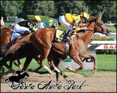 //santa-anita.gportal.hu/portal/santa-anita/image/gallery/1263733010_47.png