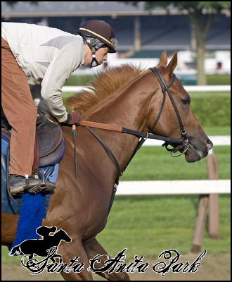 //santa-anita.gportal.hu/portal/santa-anita/image/gallery/1263733194_33.png