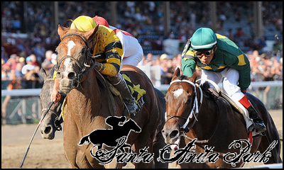 //santa-anita.gportal.hu/portal/santa-anita/image/gallery/1263733387_52.png