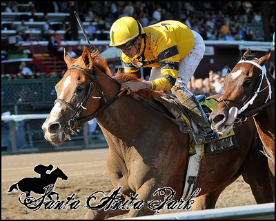 //santa-anita.gportal.hu/portal/santa-anita/image/gallery/1263733436_07.png