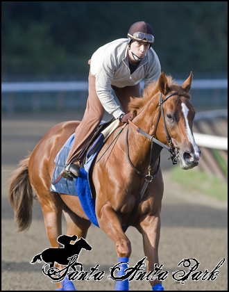 //santa-anita.gportal.hu/portal/santa-anita/image/gallery/1263733512_07.png