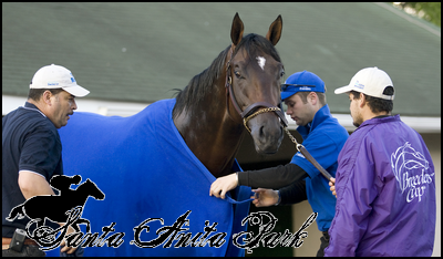 //santa-anita.gportal.hu/portal/santa-anita/image/gallery/1263734244_20.png